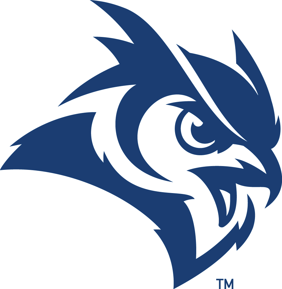 Rice Owls 2017-Pres Secondary Logo diy DTF decal sticker